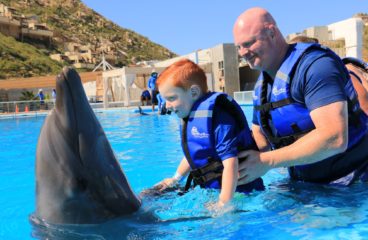 Cabo San Lucas Dolphin Adventure